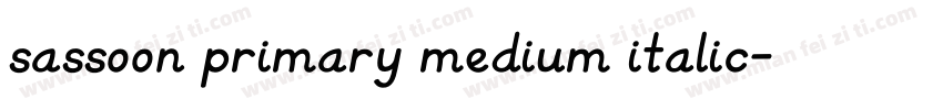 sassoon primary medium italic字体转换